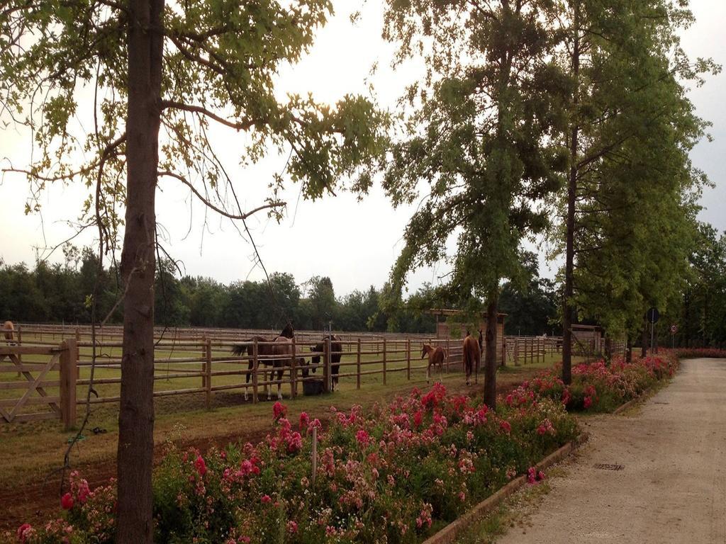 Agriturismo Il Boschetto Ornago Kültér fotó